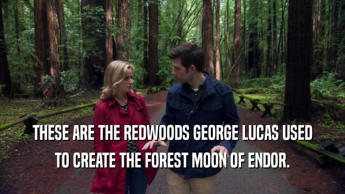 THESE ARE THE REDWOODS GEORGE LUCAS USED TO CREATE THE FOREST MOON OF ENDOR. 
