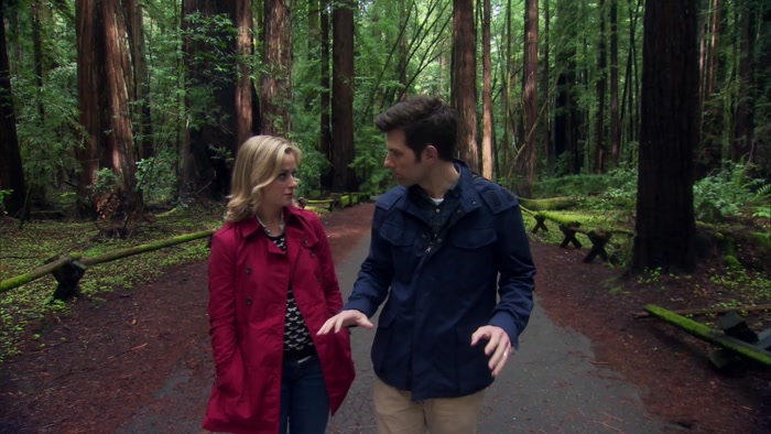 THESE ARE THE REDWOODS GEORGE LUCAS USED TO CREATE THE FOREST MOON OF ENDOR. 