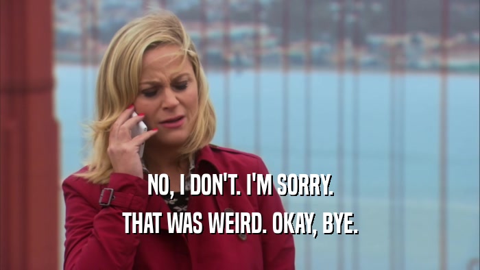 NO, I DON'T. I'M SORRY. THAT WAS WEIRD. OKAY, BYE. 