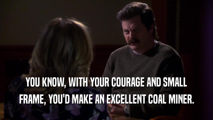YOU KNOW, WITH YOUR COURAGE AND SMALL FRAME, YOU'D MAKE AN EXCELLENT COAL MINER. 