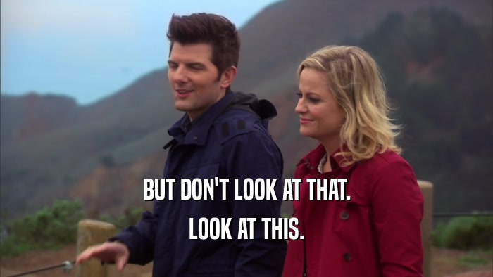 BUT DON'T LOOK AT THAT. LOOK AT THIS. 