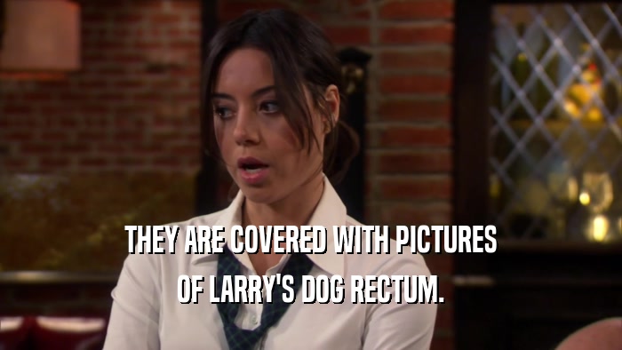 THEY ARE COVERED WITH PICTURES OF LARRY'S DOG RECTUM. 