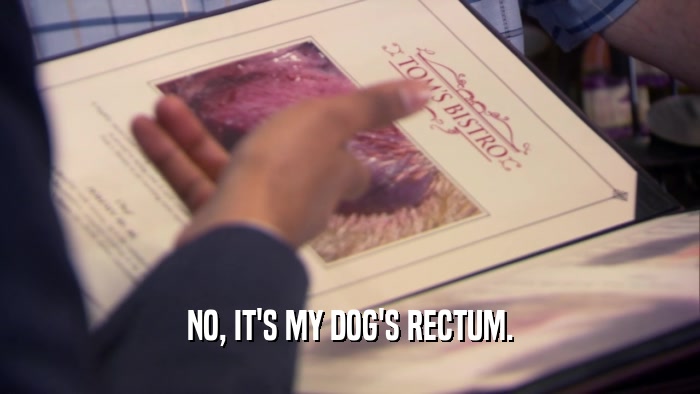 NO, IT'S MY DOG'S RECTUM.  
