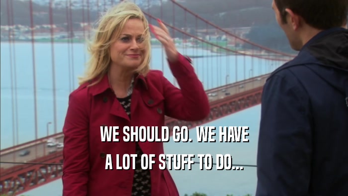 WE SHOULD GO. WE HAVE A LOT OF STUFF TO DO... 