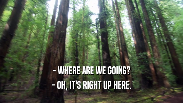 - WHERE ARE WE GOING? - OH, IT'S RIGHT UP HERE. 