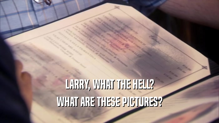 LARRY, WHAT THE HELL? WHAT ARE THESE PICTURES? 