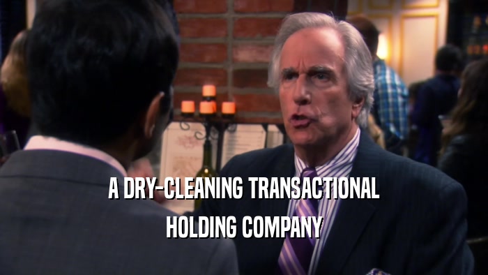 A DRY-CLEANING TRANSACTIONAL HOLDING COMPANY 