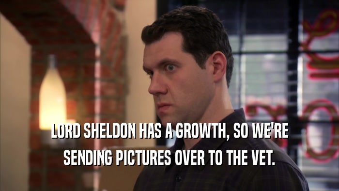 LORD SHELDON HAS A GROWTH, SO WE'RE SENDING PICTURES OVER TO THE VET. 