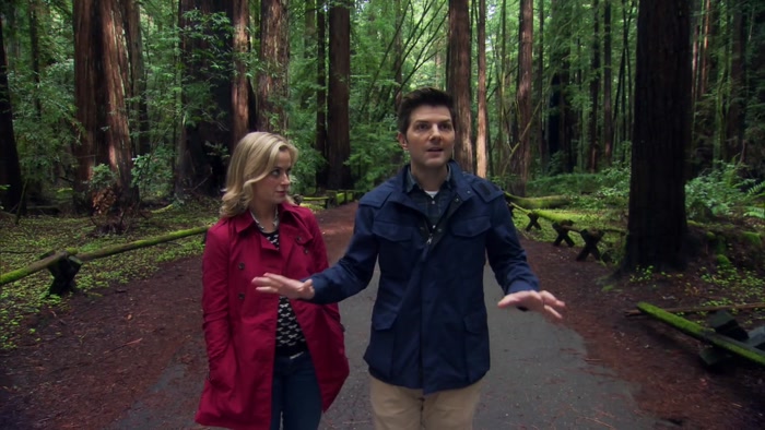 THESE ARE THE REDWOODS GEORGE LUCAS USED TO CREATE THE FOREST MOON OF ENDOR. 