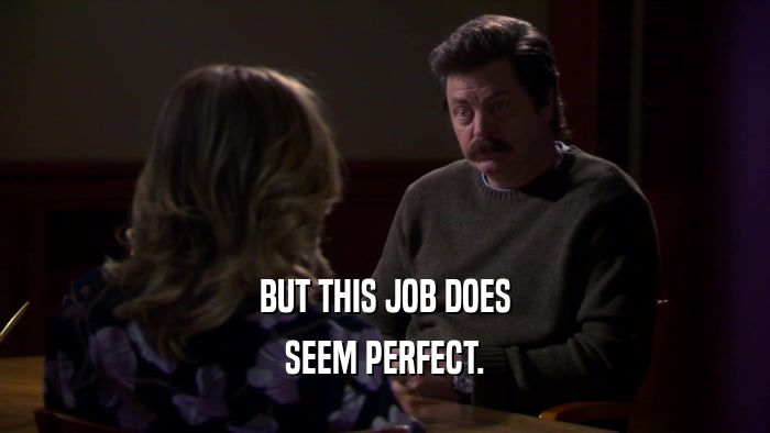 BUT THIS JOB DOES SEEM PERFECT. 