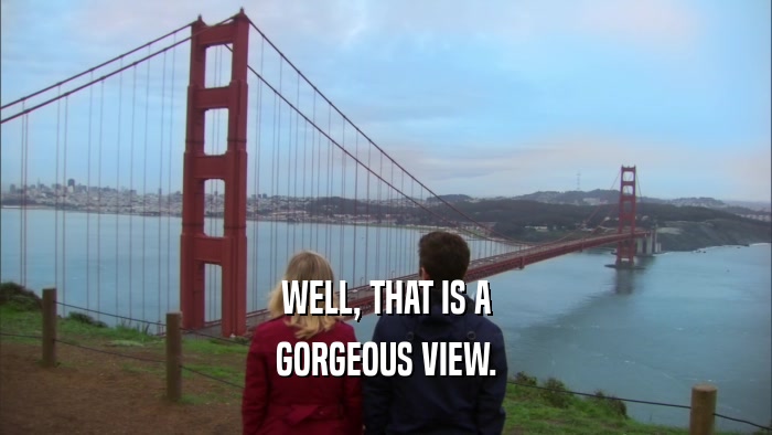 WELL, THAT IS A GORGEOUS VIEW. 