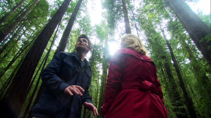 THESE ARE THE REDWOODS GEORGE LUCAS USED TO CREATE THE FOREST MOON OF ENDOR. 