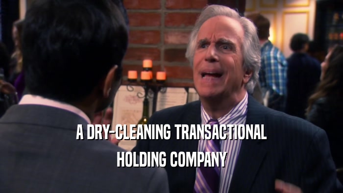 A DRY-CLEANING TRANSACTIONAL HOLDING COMPANY 