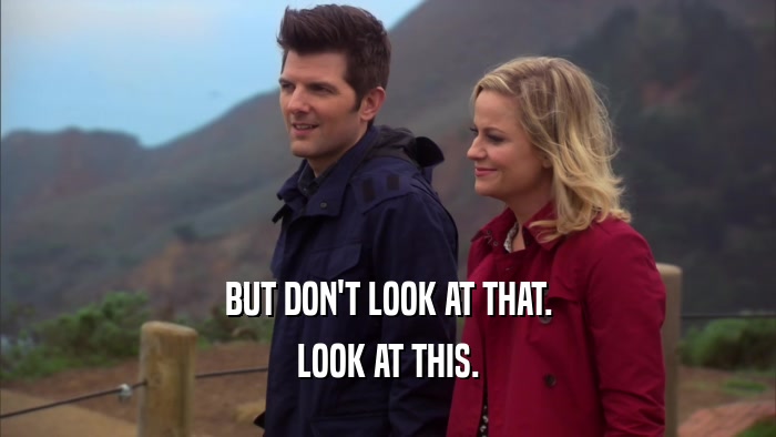 BUT DON'T LOOK AT THAT. LOOK AT THIS. 