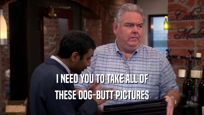 I NEED YOU TO TAKE ALL OF THESE DOG-BUTT PICTURES 