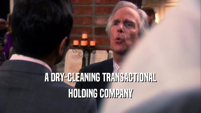 A DRY-CLEANING TRANSACTIONAL HOLDING COMPANY 
