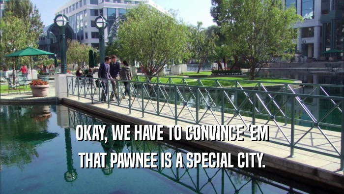 OKAY, WE HAVE TO CONVINCE 'EM
 THAT PAWNEE IS A SPECIAL CITY.
 