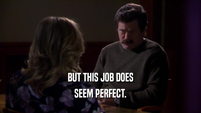 BUT THIS JOB DOES SEEM PERFECT. 