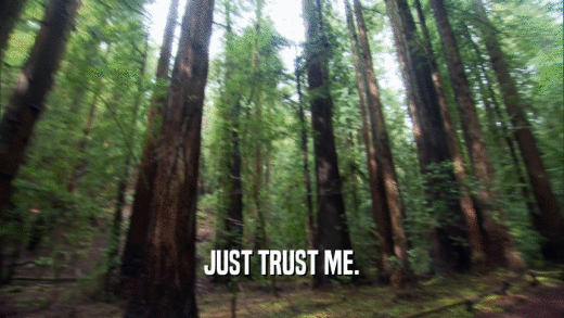 JUST TRUST ME.  