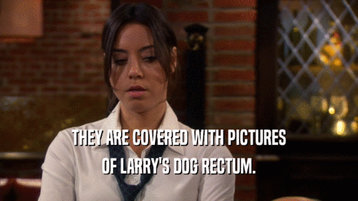 THEY ARE COVERED WITH PICTURES OF LARRY'S DOG RECTUM. 
