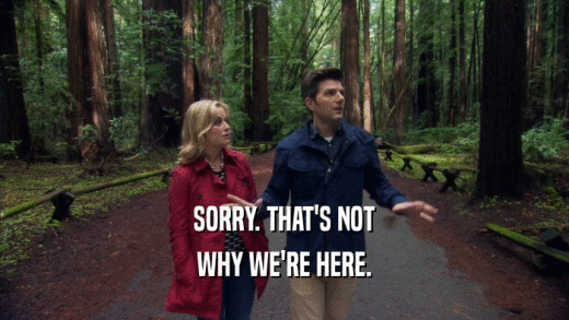 SORRY. THAT'S NOT WHY WE'RE HERE. 