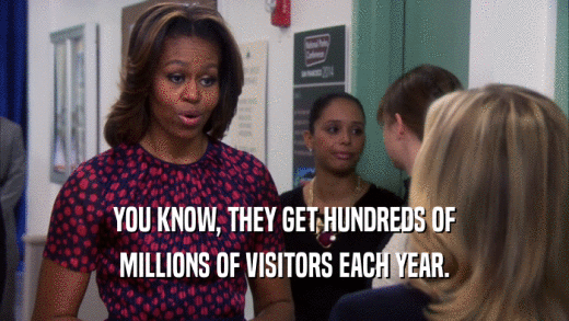YOU KNOW, THEY GET HUNDREDS OF
 MILLIONS OF VISITORS EACH YEAR.
 
