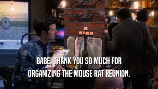 BABE, THANK YOU SO MUCH FOR
 ORGANIZING THE MOUSE RAT REUNION.
 