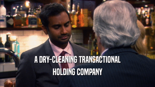 A DRY-CLEANING TRANSACTIONAL HOLDING COMPANY 