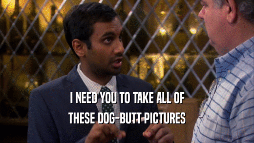 I NEED YOU TO TAKE ALL OF THESE DOG-BUTT PICTURES 