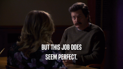 BUT THIS JOB DOES SEEM PERFECT. 