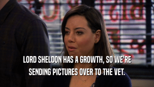 LORD SHELDON HAS A GROWTH, SO WE'RE SENDING PICTURES OVER TO THE VET. 