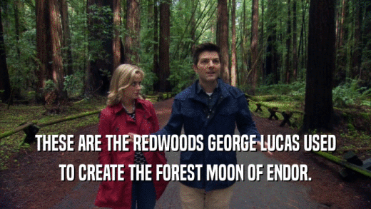 THESE ARE THE REDWOODS GEORGE LUCAS USED TO CREATE THE FOREST MOON OF ENDOR. 