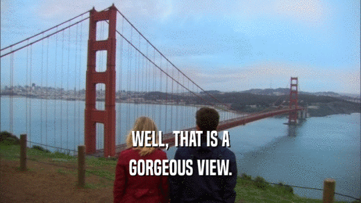 WELL, THAT IS A GORGEOUS VIEW. 