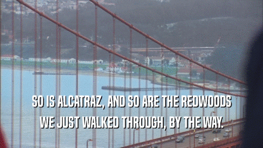 SO IS ALCATRAZ, AND SO ARE THE REDWOODS
 WE JUST WALKED THROUGH, BY THE WAY.
 