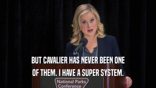 BUT CAVALIER HAS NEVER BEEN ONE OF THEM. I HAVE A SUPER SYSTEM. 