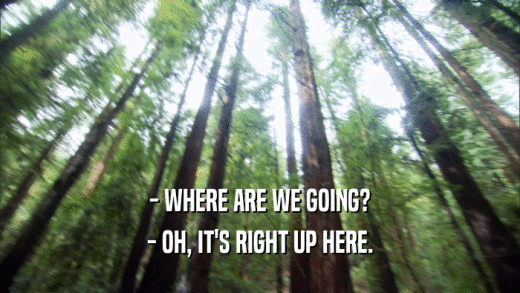 - WHERE ARE WE GOING? - OH, IT'S RIGHT UP HERE. 