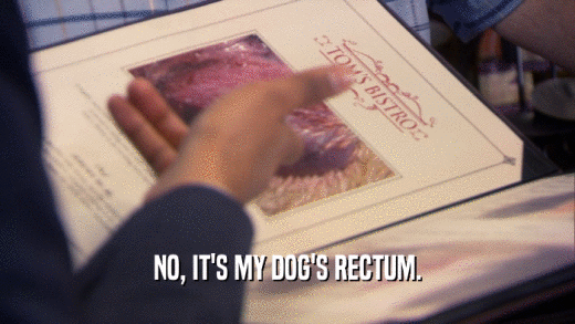 NO, IT'S MY DOG'S RECTUM.  