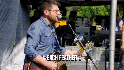 # EACH FEATHER #  