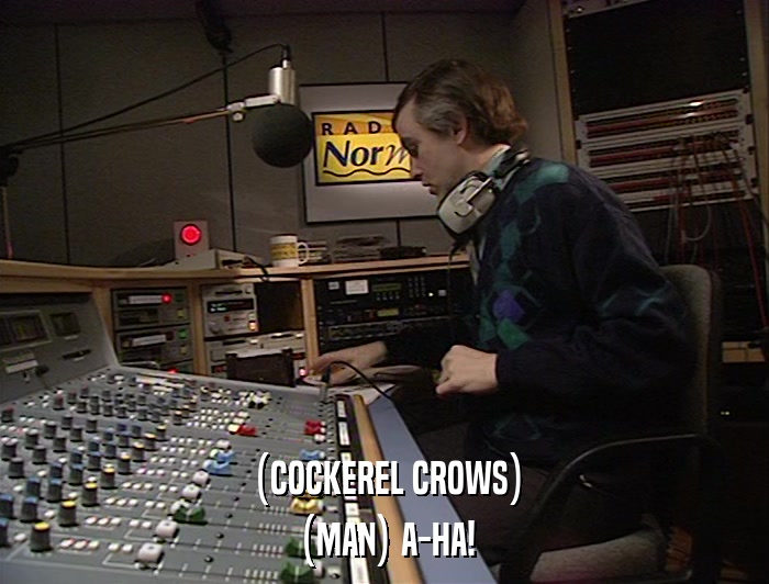 (COCKEREL CROWS) (MAN) A-HA! 