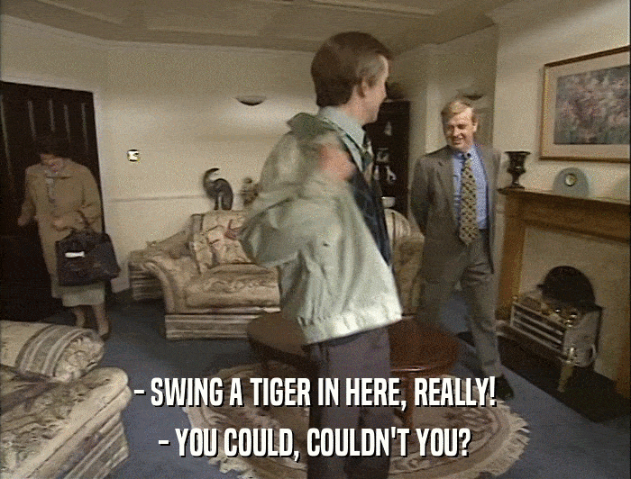 - SWING A TIGER IN HERE, REALLY! - YOU COULD, COULDN'T YOU? 