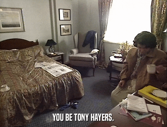 YOU BE TONY HAYERS.  
