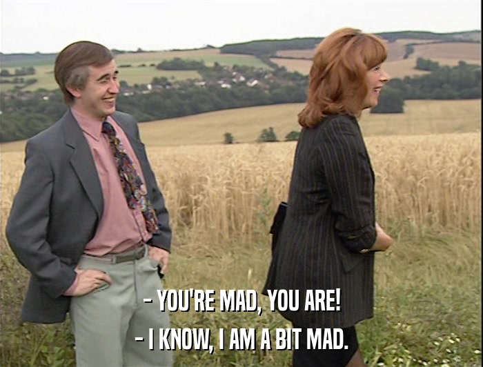 - YOU'RE MAD, YOU ARE! - I KNOW, I AM A BIT MAD. 