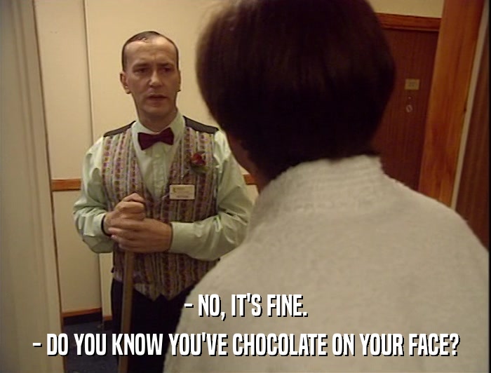 - NO, IT'S FINE. - DO YOU KNOW YOU'VE CHOCOLATE ON YOUR FACE? 