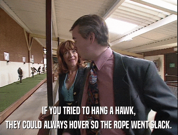 IF YOU TRIED TO HANG A HAWK, THEY COULD ALWAYS HOVER SO THE ROPE WENT SLACK. 