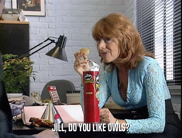 JILL, DO YOU LIKE OWLS?  