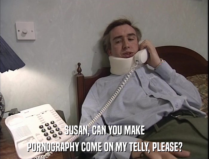SUSAN, CAN YOU MAKE PORNOGRAPHY COME ON MY TELLY, PLEASE? 