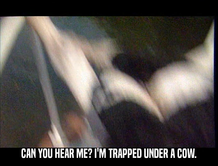 CAN YOU HEAR ME? I'M TRAPPED UNDER A COW.  