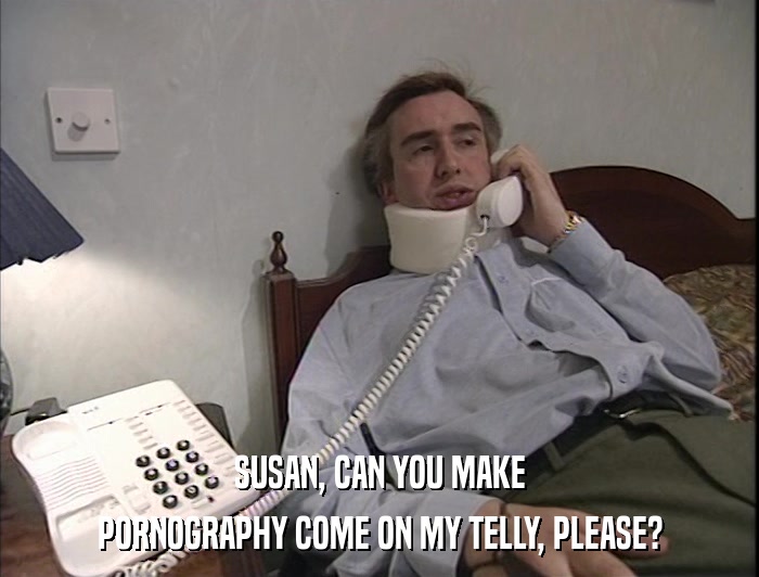 SUSAN, CAN YOU MAKE PORNOGRAPHY COME ON MY TELLY, PLEASE? 