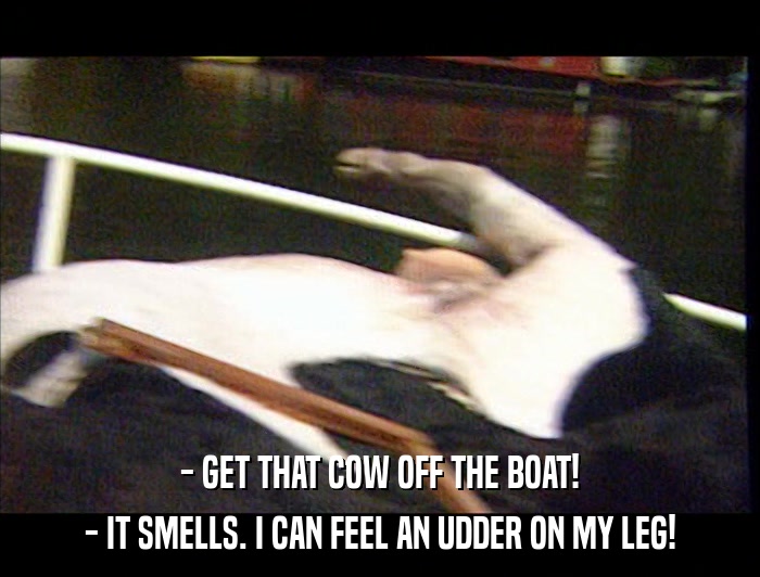 - GET THAT COW OFF THE BOAT! - IT SMELLS. I CAN FEEL AN UDDER ON MY LEG! 