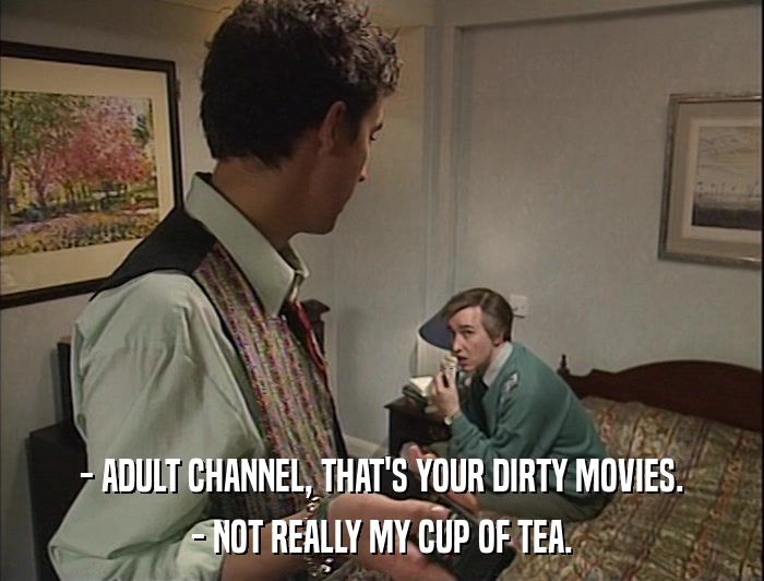 - ADULT CHANNEL, THAT'S YOUR DIRTY MOVIES. - NOT REALLY MY CUP OF TEA. 
